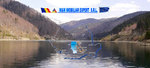 IMMOBILIER MM EXPERT